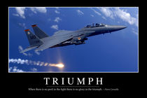 Triumph: Motivational Poster by Stocktrek Images