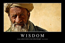 Wisdom Motivational Poster von Stocktrek Images