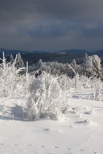 Sonnenschein und Schneewolken von Bernhard Kaiser