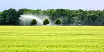 Künstlicher Regen von gscheffbuch