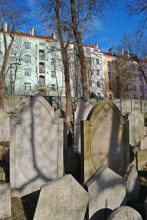 Alter Jüdischer Friedhof Zizkov in Prag... 14 by loewenherz-artwork