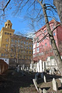 Alter Jüdischer Friedhof Zizkov in Prag... 5 von loewenherz-artwork