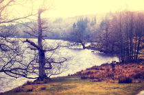 Mist at the Lake von Vicki Field