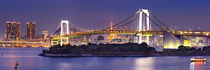 Tokyo Rainbow Bridge in Tokyo, Japan at night by Sara Winter