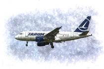  Tarom Airbus A318 Art von David Pyatt