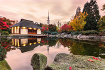 Herbst in Planten un Blomen Hamburg von Dennis Stracke