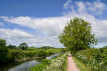 Grand Western Canal von Pete Hemington