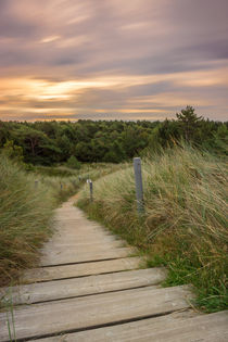 Langer Weg zum Strand an der Nordsee von Dennis Stracke