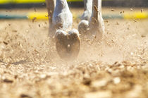 Hufspuren im Sand  by cavallo-magazin