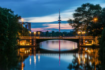 Hamburger Schwanenwik und Telemichel im Sonnenuntergang von elbvue