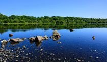 Bassenthwaite Lake  am Morgen by gscheffbuch