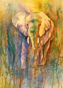 Elefant by Claudia Pinkau