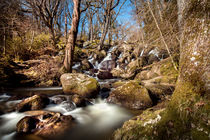 Becky Falls in Spring by David Hare