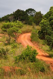 Die Weiten der Shimba Hills by ann-foto