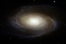 Spiral Galaxy M81 by Stocktrek Images