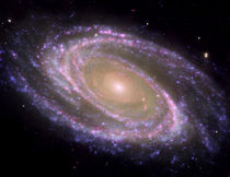 Spiral galaxy Messier 81. von Stocktrek Images