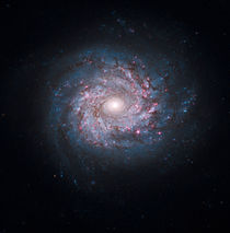 Face-on spiral galaxy NGC 3982. by Stocktrek Images