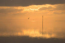 Windstille am Meer by Annette Sturm