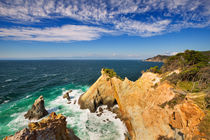 The Koganezaki Cape on the Izu Peninsula, Japan von Sara Winter