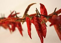 red hot chili - verdammt scharf von mindfullycreatedvibrations
