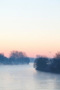 Bremen : Morgennebel an der Weser by Torsten Krüger