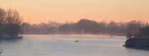 Bremen : Morgennebel an der Weser von Torsten Krüger