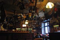 pub crawling in Prague... 20 by loewenherz-artwork