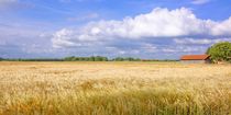 Sommertag - Panoramaformat von gscheffbuch