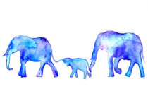 Blue elephants, watercolor elephants by Luba Ost