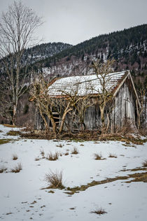 The old barn von Thomas Matzl