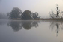 Nebel, Licht und Bäume 4 by Bernhard Kaiser