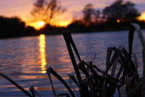 Sonnenuntergang am Funkturmsee by Hendrik Molch