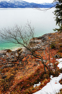 At a winterly lakeside von Thomas Matzl