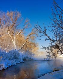 Feeling of spring in Russia von Yuri Hope