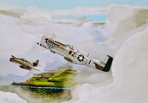 Dogfight von Peter Schmidt