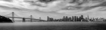 Skyline panorama of San Francisco by Toon van den Einde