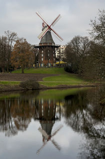 windmühle von fotolos