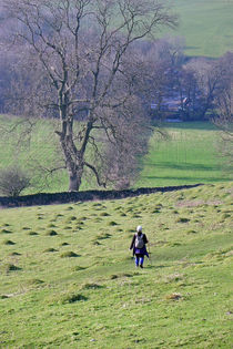 Hill Walking von Rod Johnson