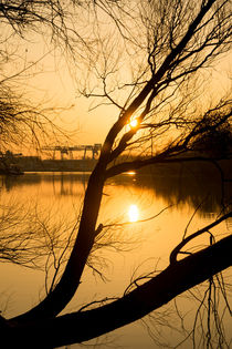 Hafen Wörth im goldenen Glanz von Stephan Gehrlein