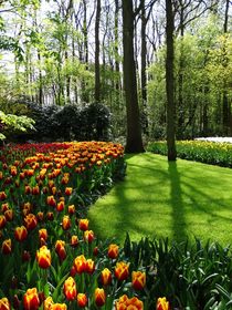 Es ist Frühling! von anowi