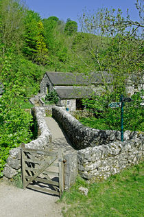 Viator's Bridge, Milldale by Rod Johnson