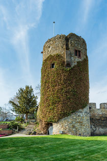 Sebastiansturm in Eltville von Erhard Hess