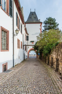 Eltzer Hof-Martinsgasse in Eltville by Erhard Hess