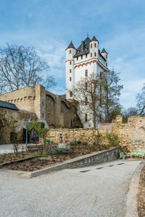 Kurfürstliche Burg Eltville 71 von Erhard Hess