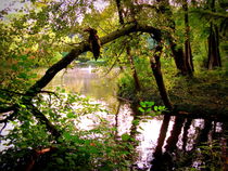 Das Tor zum See von Ulrike Ilse Brück