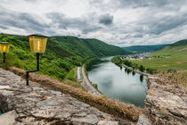 Burg Metternich - Terrassenblick von Erhard Hess