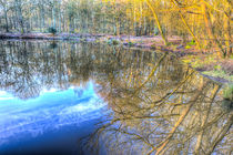 Peaceful Pond Reflections  by David Pyatt