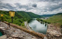 Burg Metternich - Terrassenblick by Erhard Hess