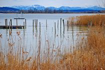 Idylle am Ammersee... 14 von loewenherz-artwork