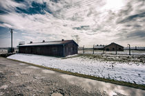Auschwitz Birkenau, Rampe by Norbert Fenske